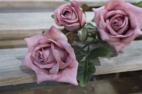 Staroružová umelá trojruža 85cm