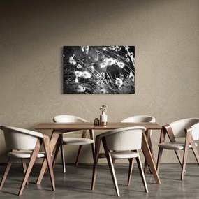 Obraz - Pavučina na lúke (90x60 cm)