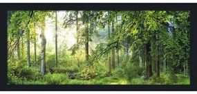 Obraz v ráme Forest Harmony 130x60 cm