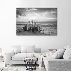 Gario Obraz na plátne Trávy na pláži - čiernobiely Rozmery: 60 x 40 cm