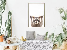 Artgeist Plagát - Raccoon [Poster] Veľkosť: 40x60, Verzia: Čierny rám s passe-partout