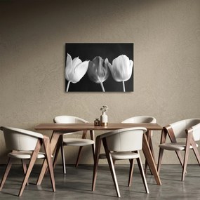 Sklenený obraz - Čiernobiele kvety tulipánov (70x50 cm)
