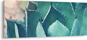 Obraz - Sukulent (120x50 cm)