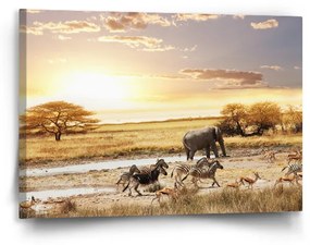 Sablio Obraz Safari - 90x60 cm