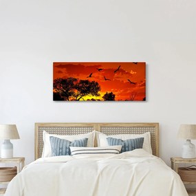 Obraz vtákov pri západe slnka (120x50 cm)