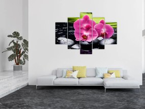 Obraz - Ružové orchidey s palmovým listom (150x105 cm)
