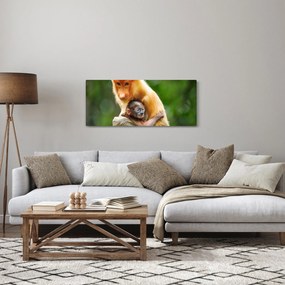 Obraz opíc (120x50 cm)