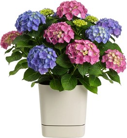 PLASTOVÝ KVETINÁČ CUBI 34X36,5 CM BÉŽOVÁ