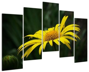 Obraz žltého kvetu