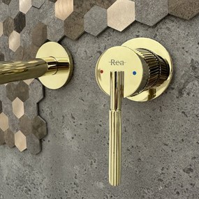 Rea Argon, umývadlová batéria pod omietku + montážny systém BOX, zlatá lesklá, REA-B7809