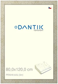 DANTIK rám na obraz 80x120 | PRAHA Bílá (Plexi Čiré)