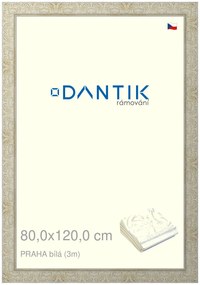 DANTIK rám na obraz 80x120 | PRAHA Bílá (Plexi Čiré)