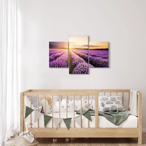 Obraz - Východ slnka v levanduľovom poli (90x60 cm)