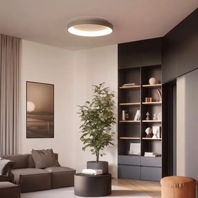 BRILAGI - LED stmievateľné stropné svietidlo FALCON II LED/99W/230V biela/béžová + DO
