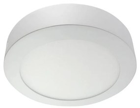 Baterie Centrum LED Stropné svietidlo LED/24W/230V 2700K BC0049