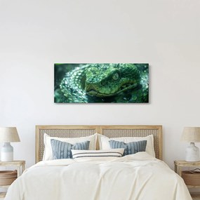 Obraz - Portrét hada (120x50 cm)