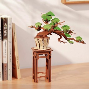 RoboTime 3D drevená skladačka Bonsai borovica