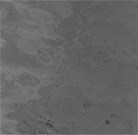 XXXLutz AKUSTICKÝ PANEL velikost: 52/52/0.7 cm Jangal - Online Only bytové doplnky - 003485001603