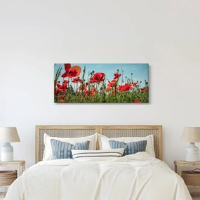 Obraz - Na poli vlčích makov (120x50 cm)