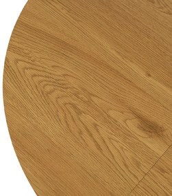 JAKS Okrúhly rozkladací stôl 100 - 250cm Lukas zlatý dub 2/2