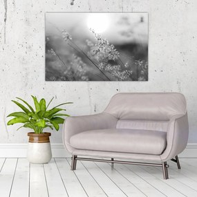 Obraz - Jesenná lúka (90x60 cm)