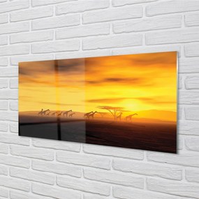 Obraz plexi Strom mraky neba žirafa 100x50 cm