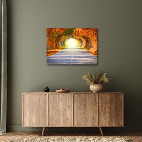 Obraz - Brána z korún stromov (70x50 cm)