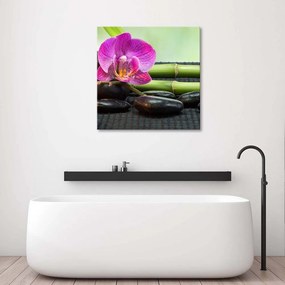 Gario Obraz na plátne Kvitnúce orchidey na čiernych kameňoch Rozmery: 40 x 40 cm