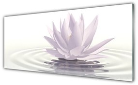 Obraz na akrylátovom skle Kvet voda umenie 125x50 cm