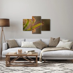 Obraz rastliny (90x60 cm)
