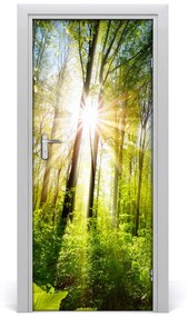 Fototapeta na dvere samolepiace slnka v lese 75x205 cm