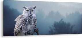 Obraz - Sova snežná (120x50 cm)