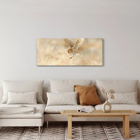 Obraz - Sova pálená (120x50 cm)