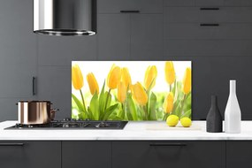 Sklenený obklad Do kuchyne Tulipány kvety rastlina 140x70 cm