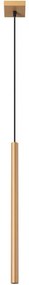 Sollux SL.1170 - Luster na lanku PASTELO 1xG9/8W/230V zlatá