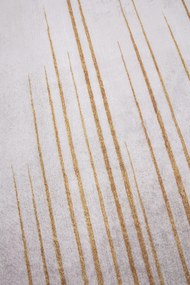 Koberec Canes KLXD220428 rozmery koberec: 50x80 cm
