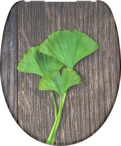 Eisl Sanitär WC sedadlo Duroplast Soft Close Ginko and Wood 82154