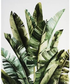 Obraz tlačený na plátne 40x50 PRC1085