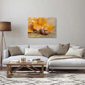 Sklenený obraz - Jesenné žalude (70x50 cm)