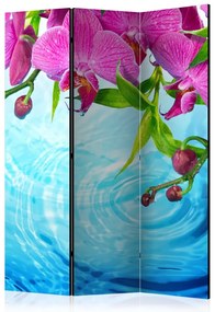 Artgeist Paraván - Orchids over Water [Room Dividers]