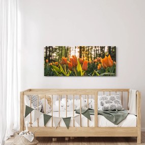Obraz - kvety tulipánov (120x50 cm)