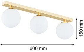 Argon 1414 - Kúpeľňový prisadený luster FLAVIO 3xE14/7W/230V IP44