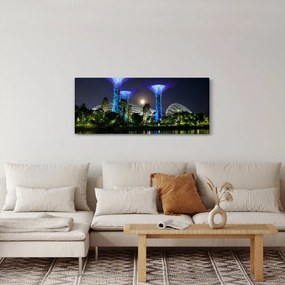 Obraz splnu v Singapurských záhradách (120x50 cm)