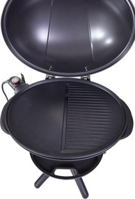 Gril Guzzanti GZ 345