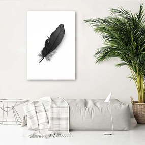 Obraz na plátně Peříčko Black Nature - 70x100 cm
