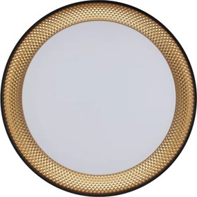 Brilliant - LED stmievateľné stropné svietidlo WALDO LED/36W/230V čierna/zlatá + DO