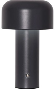 Sivá LED stolová lampa (výška 21,5 cm) Bobby – Star Trading