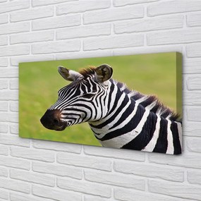 Obraz na plátne zebra 125x50 cm