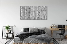 Obraz plexi Čierna a biela strom les 140x70 cm