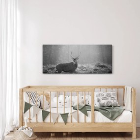 Obraz - Jeleň v lese, čiernobiela (120x50 cm)